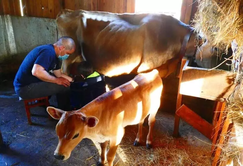 ホテル Eco Urbion