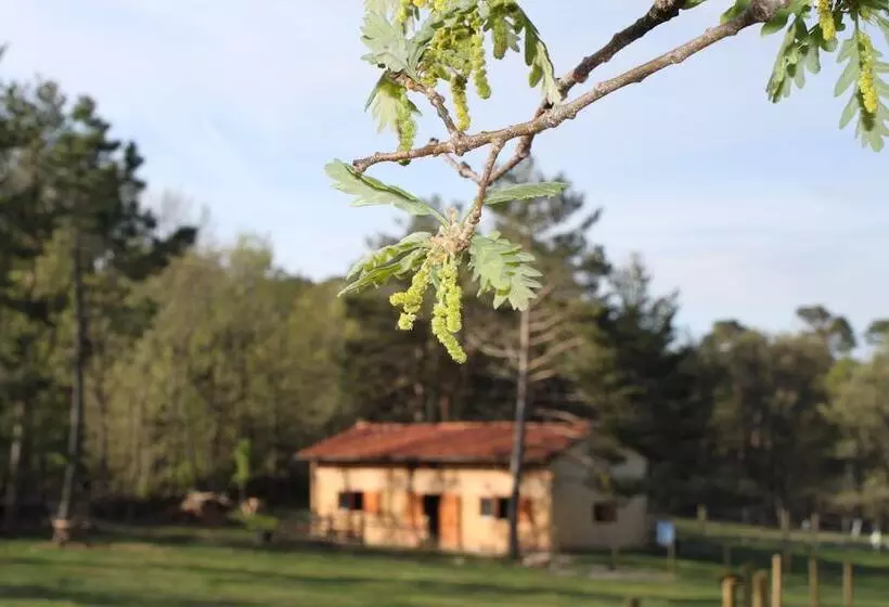 ホテル Eco Urbion