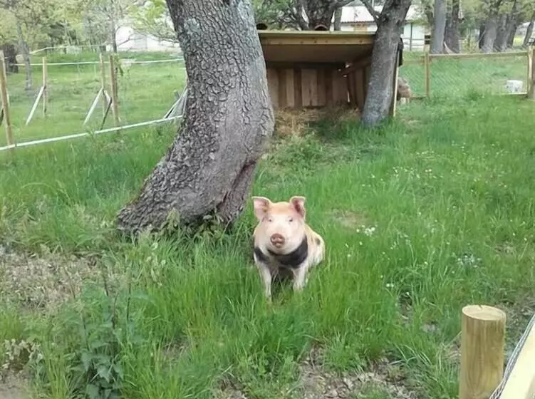 ホテル Eco Urbion