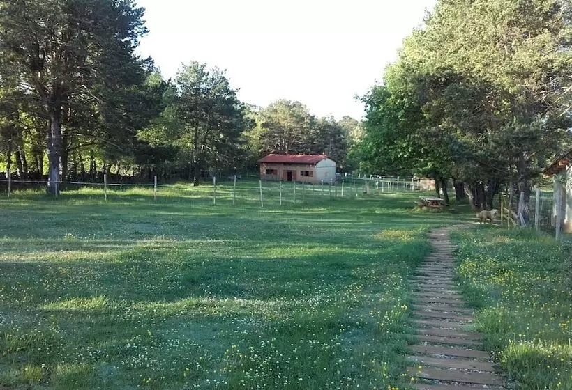 ホテル Eco Urbion