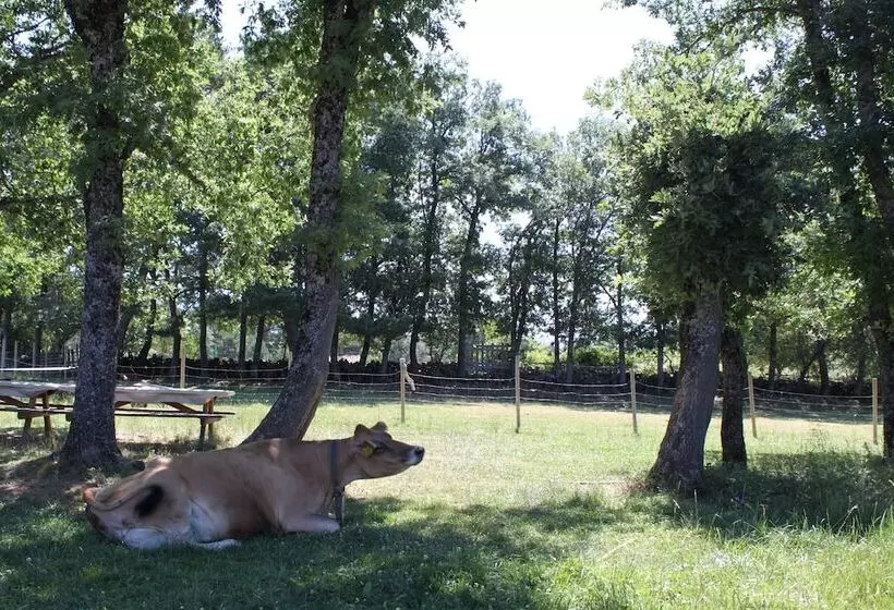 ホテル Eco Urbion