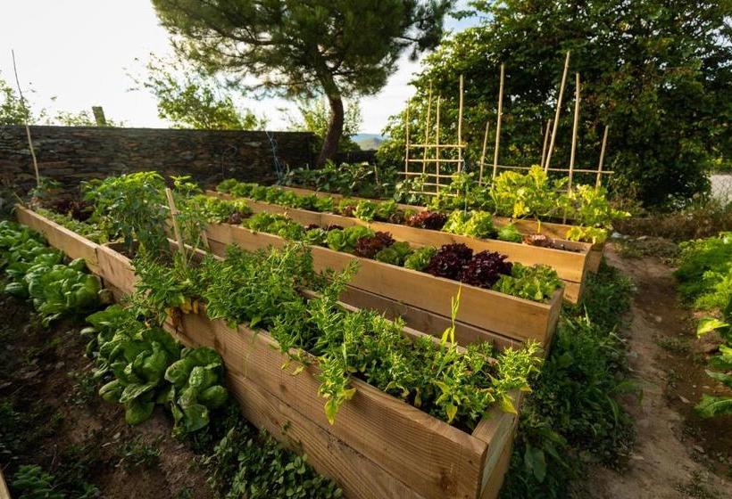 호텔 The Rock Suites & Spa