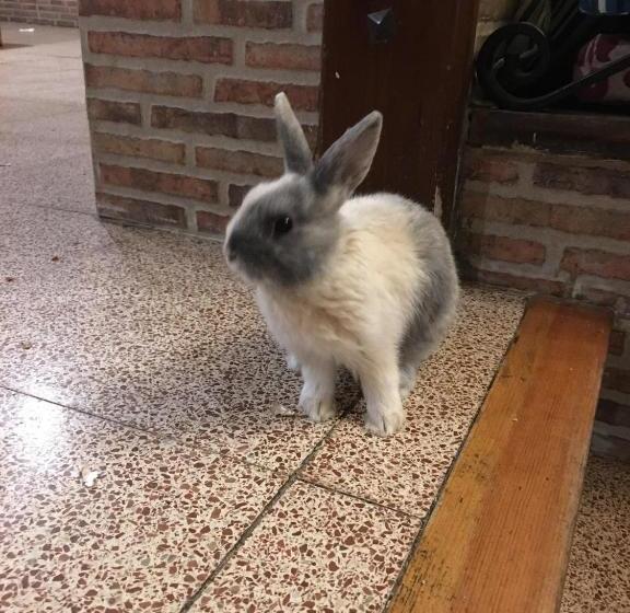 膳宿费 Rural Pantano De Burgomillodo