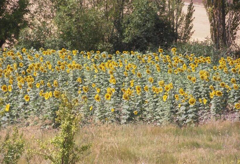 ペンション Eras Altas