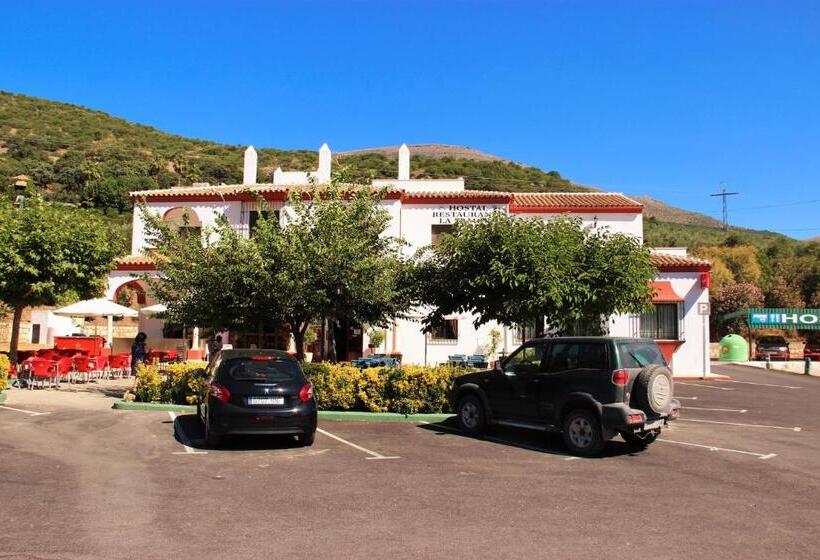 بنسيون Hostal La Zamora