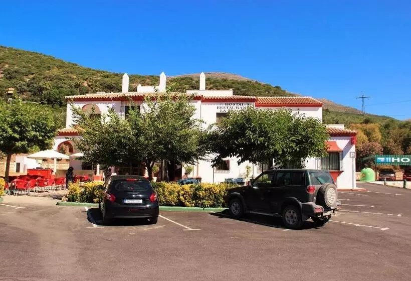 ペンション Hostal La Zamora