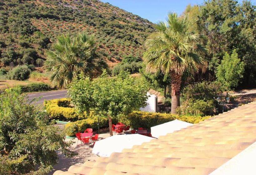 بنسيون Hostal La Zamora