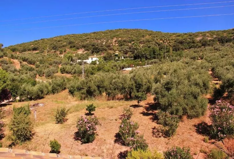 ペンション Hostal La Zamora