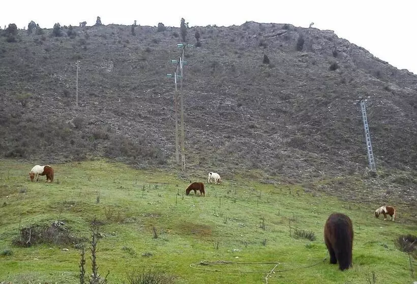 پانسیون Rural Pantano De Burgomillodo