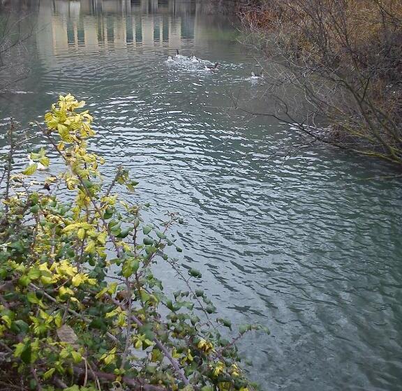 膳宿费 Rural Pantano De Burgomillodo