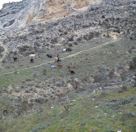 膳宿费 Rural Pantano De Burgomillodo