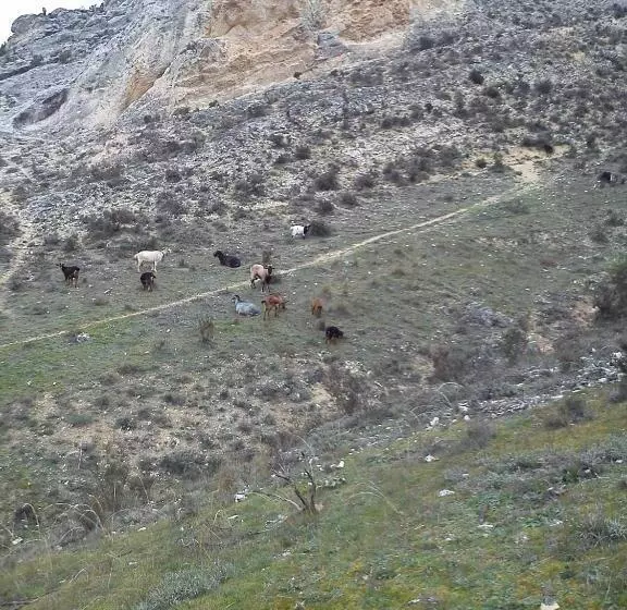 پانسیون Rural Pantano De Burgomillodo