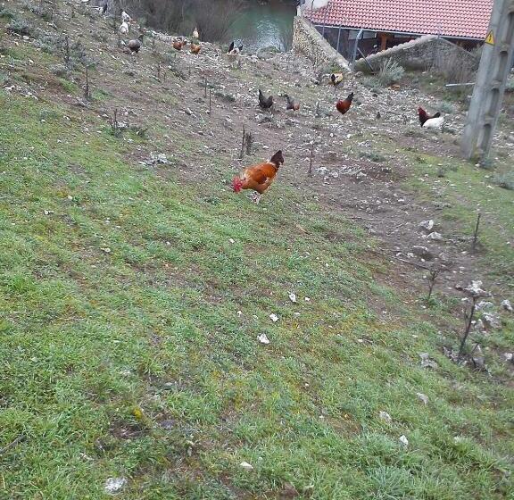 膳宿费 Rural Pantano De Burgomillodo