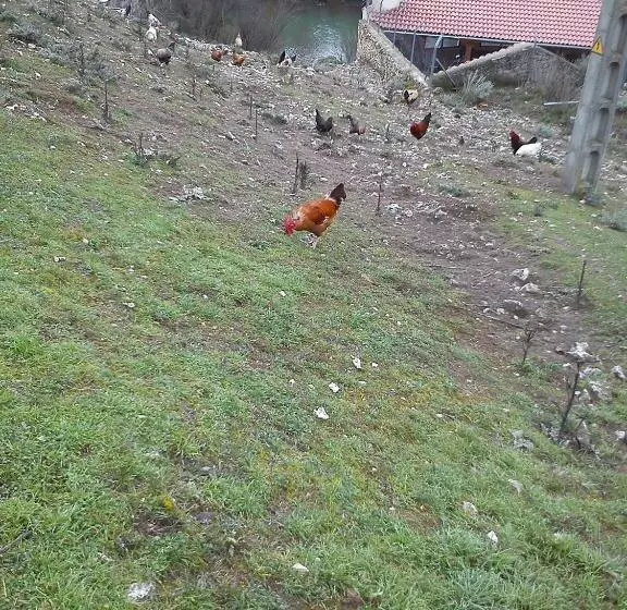 پانسیون Rural Pantano De Burgomillodo