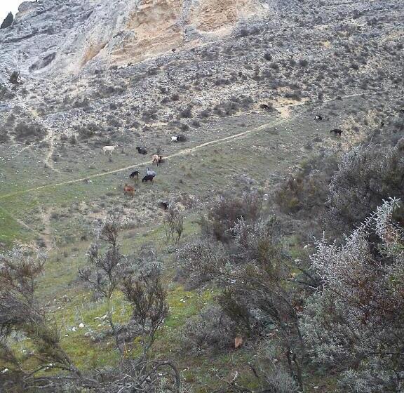 膳宿费 Rural Pantano De Burgomillodo