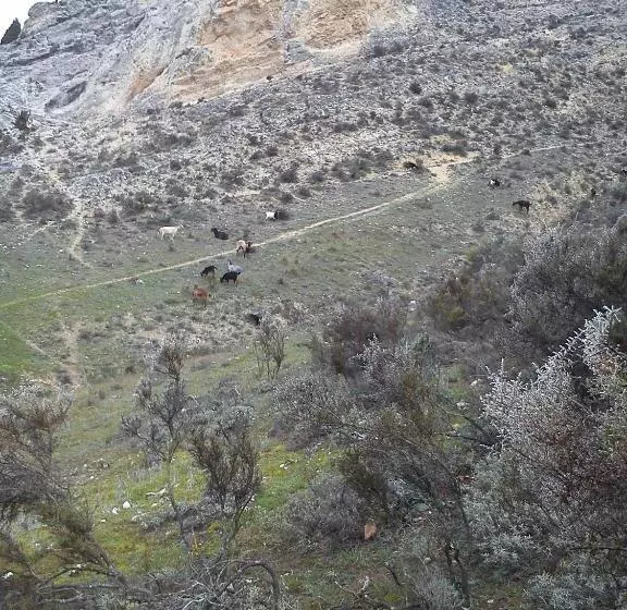 پانسیون Rural Pantano De Burgomillodo