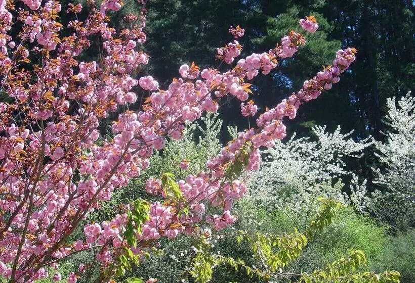 Herberge Haras Aritza