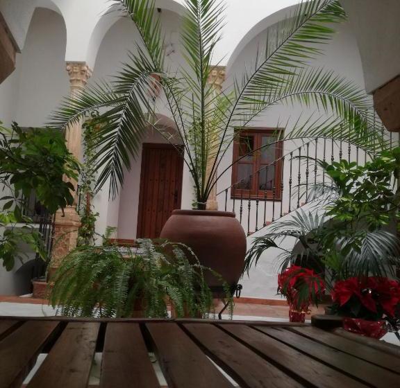 بنسيون Casa Maika