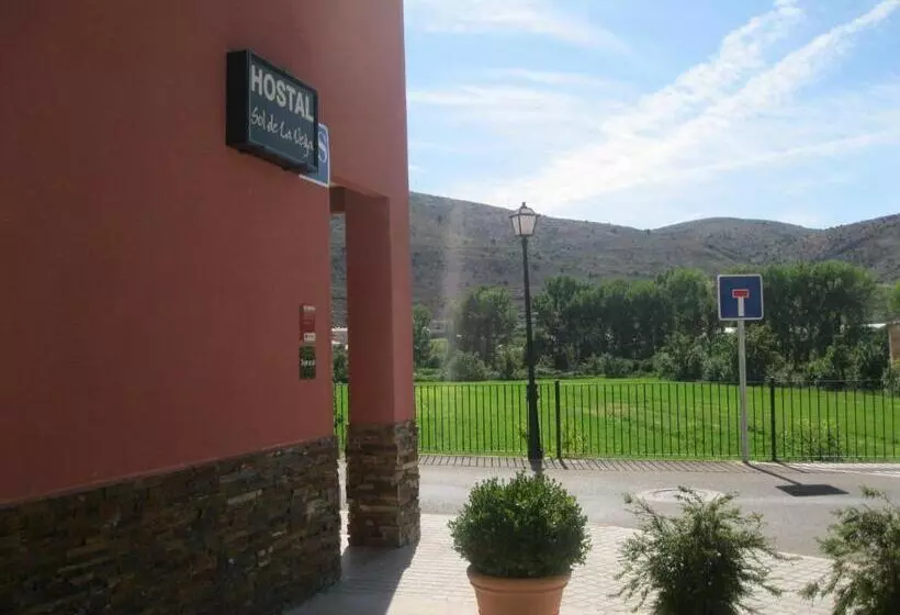 ペンション Hostal Sol De La Vega