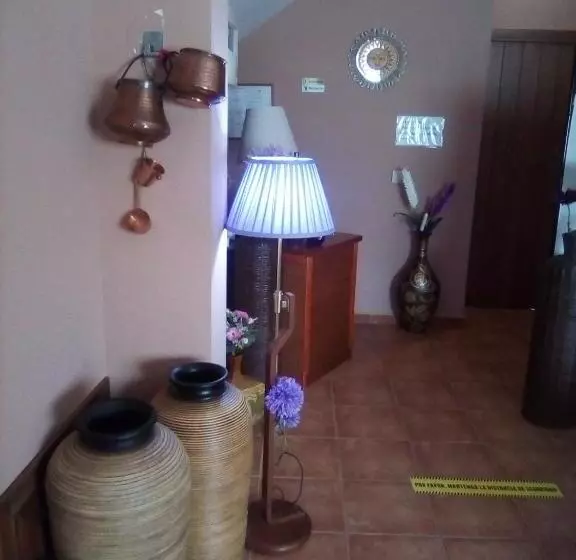 ペンション Hostal Sol De La Vega