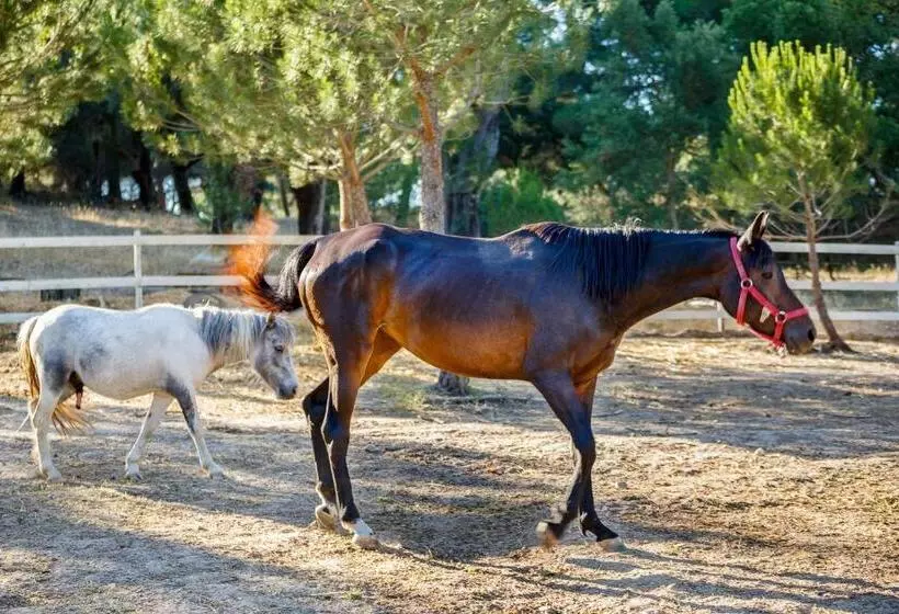 Hotelli Herdade Da Granja Nova