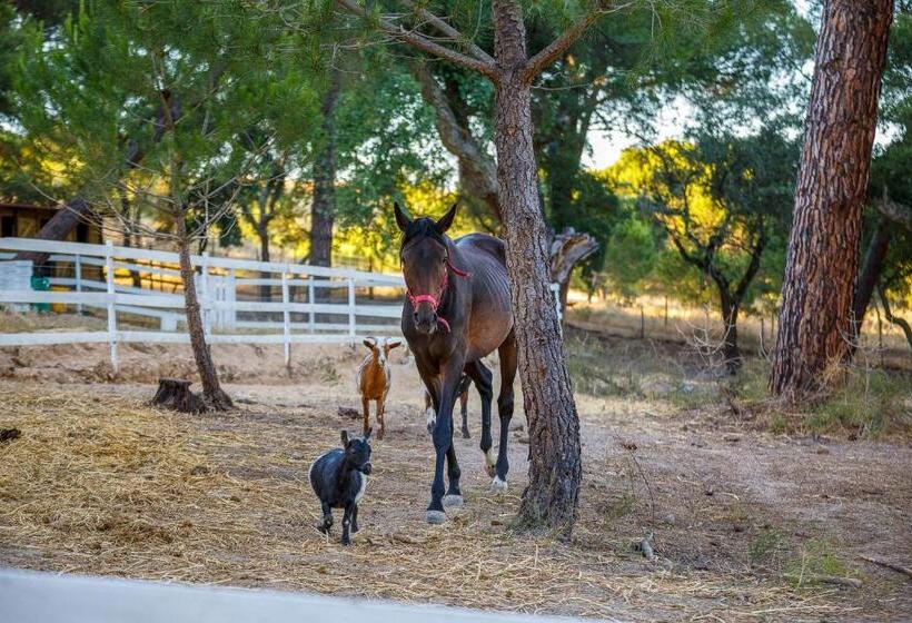 酒店 Herdade Da Granja Nova