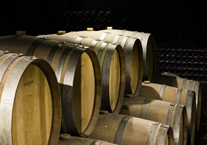 Hotelli Quinta De S.bernardo   Winery & Farmhouse