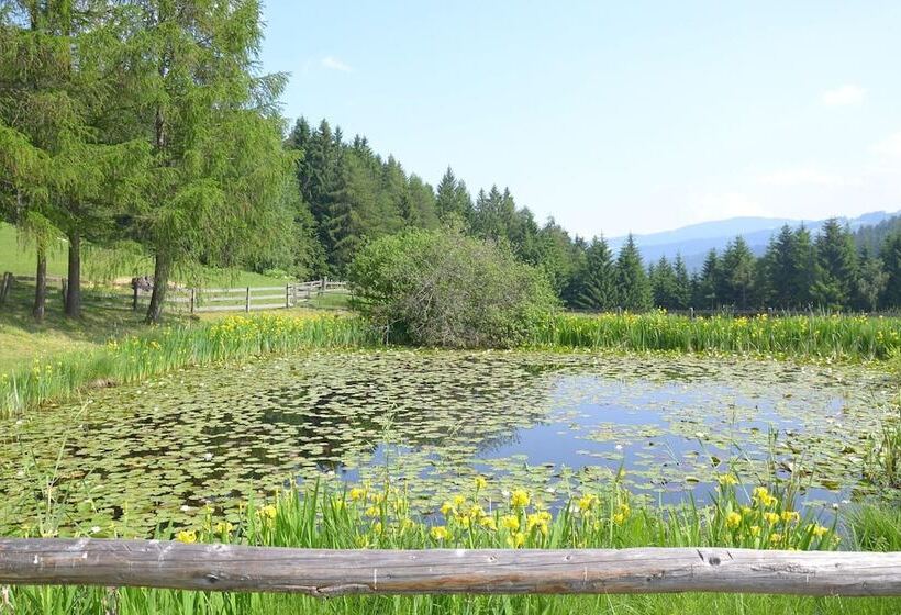 ユースホステル Zum Löwen Post