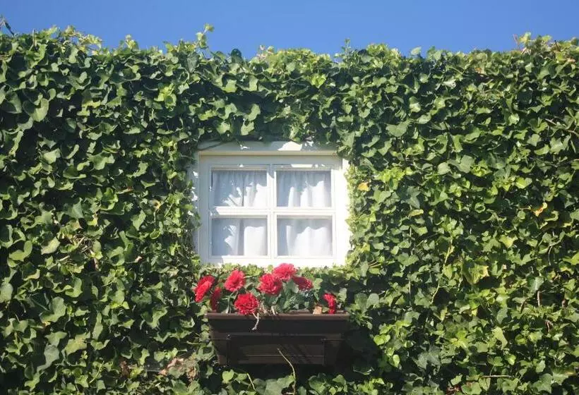 هتل Casa Do Moinho