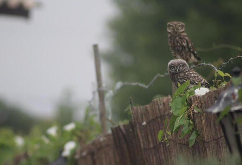 فندق Casa Do Moinho