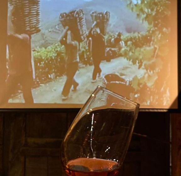 هتل Casa Dos Barros Winery Lodge By Vintage Theory