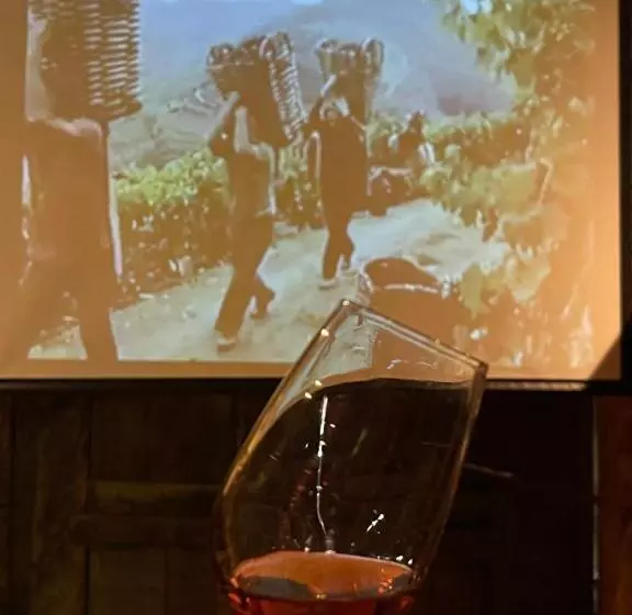 ホテル Casa Dos Barros Winery Lodge By Vintage Theory