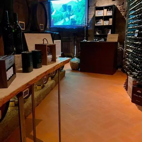 ホテル Casa Dos Barros Winery Lodge By Vintage Theory