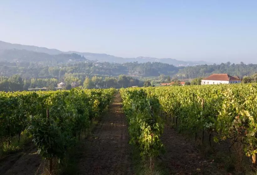 Hotel Casa Lata   Agroturismo E Enoturismo