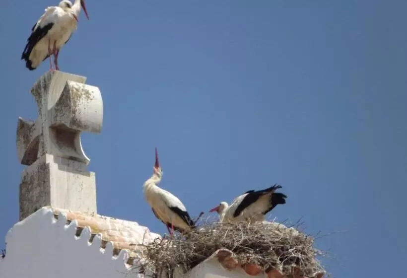 Majatalo Entrecubos Guesthouse