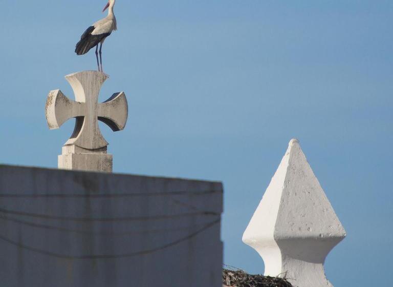 پانسیون Entrecubos Guesthouse