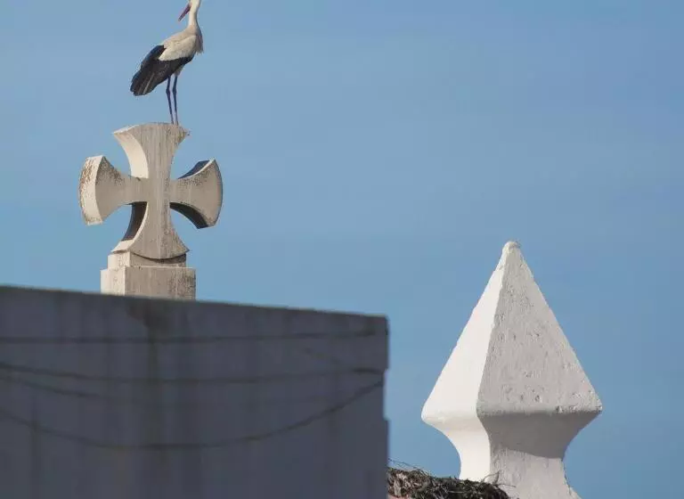 Majatalo Entrecubos Guesthouse