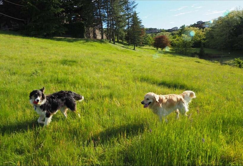 Cascina Gazzeri Country House