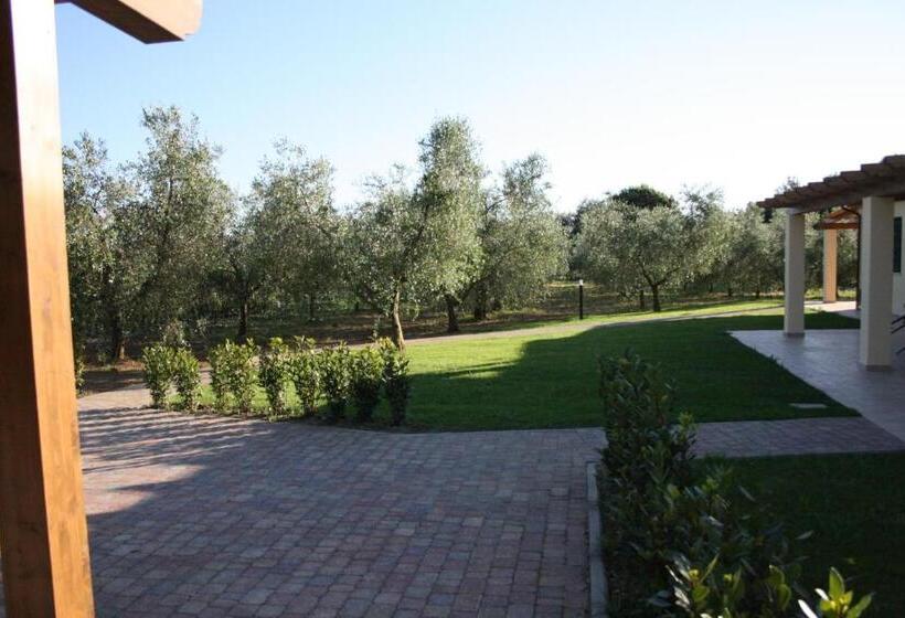 فندق Agriturismo Dallolivo