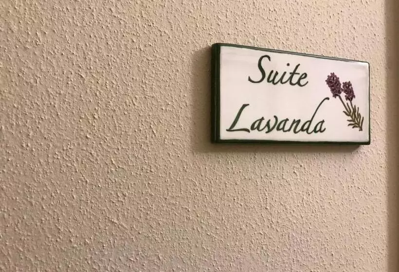 ホテル Agriturismo La Rinaldina