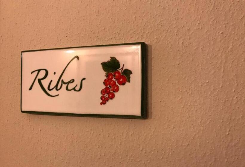 호텔 Agriturismo La Rinaldina