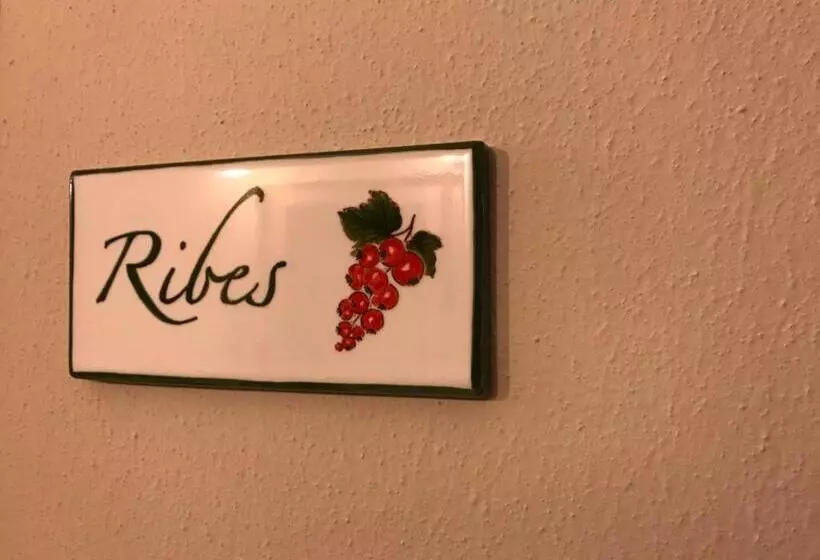 ホテル Agriturismo La Rinaldina