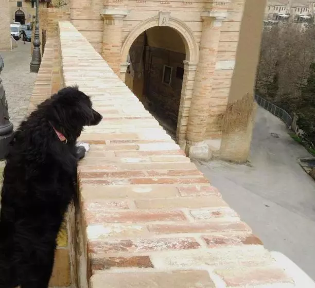 Majatalo Calalanotte