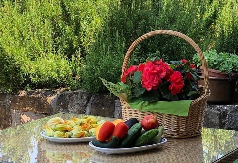 بنسيون Affittacamere Cigui