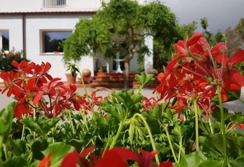 پانسیون Arenosu Comfort Country Resort