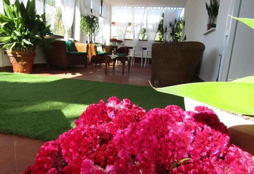 پانسیون Arenosu Comfort Country Resort