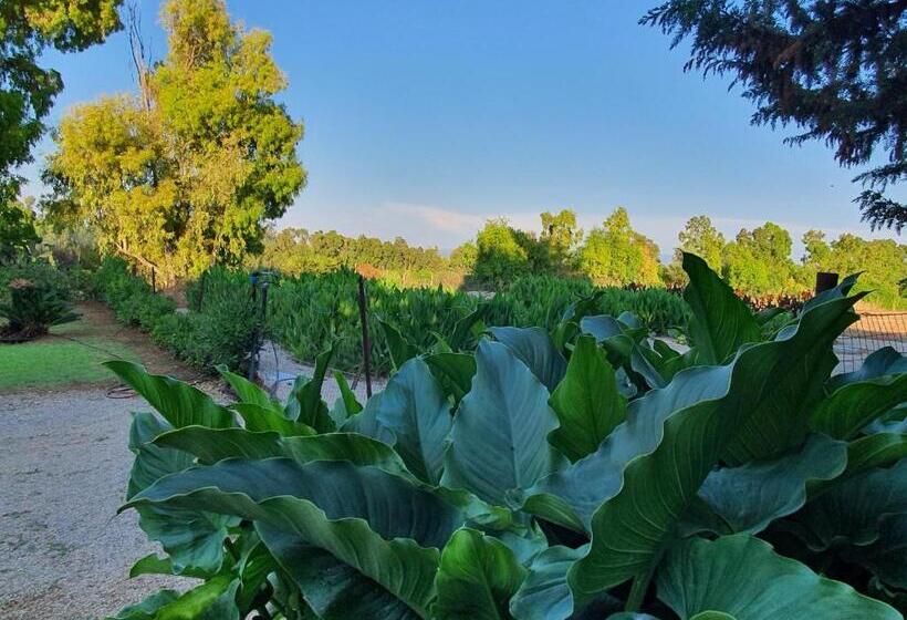 膳宿费 Arenosu Comfort Country Resort