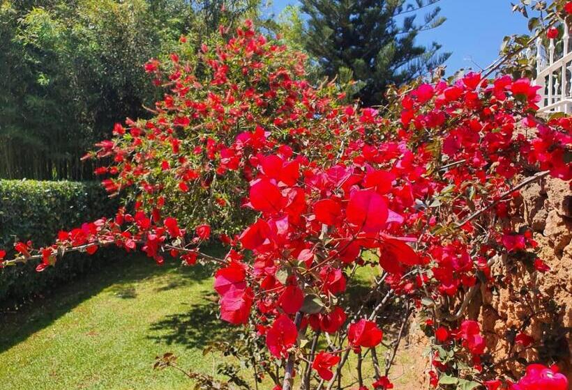 膳宿费 Arenosu Comfort Country Resort