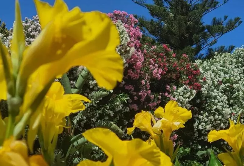 پانسیون Arenosu Comfort Country Resort