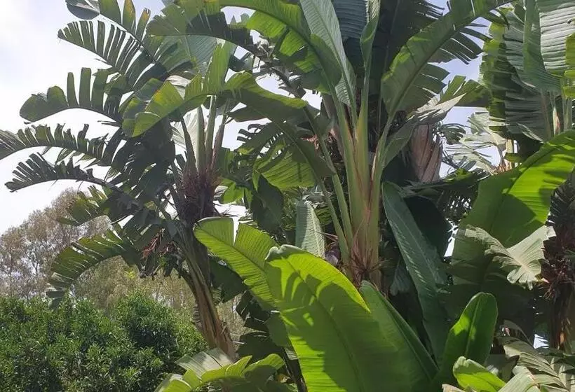 پانسیون Arenosu Comfort Country Resort